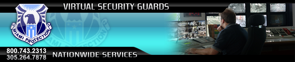 Virtual Security Guards